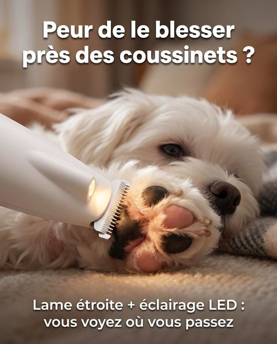 Tondeuse à pattes avec éclairage LED entre les coussinets