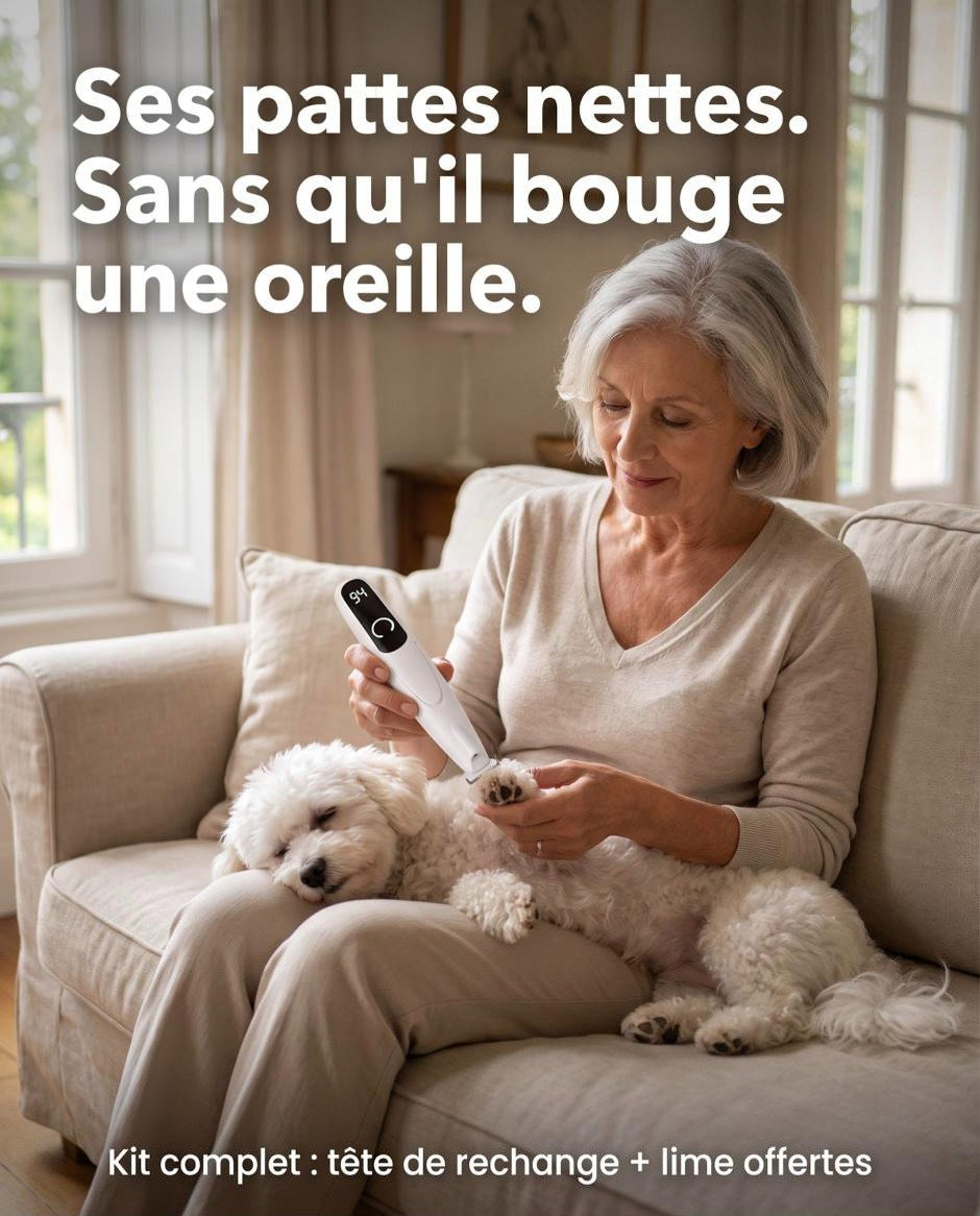Petit chien calme pendant la coupe des poils sous la patte